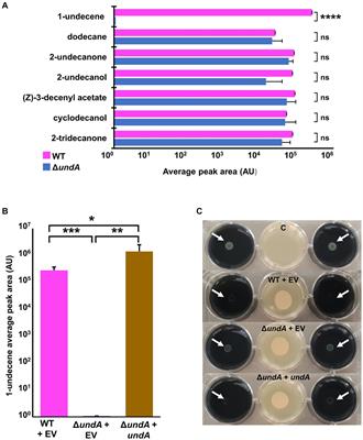 Pseudomonas fluorescens MFE01 uses 1-undecene as aerial communication molecule